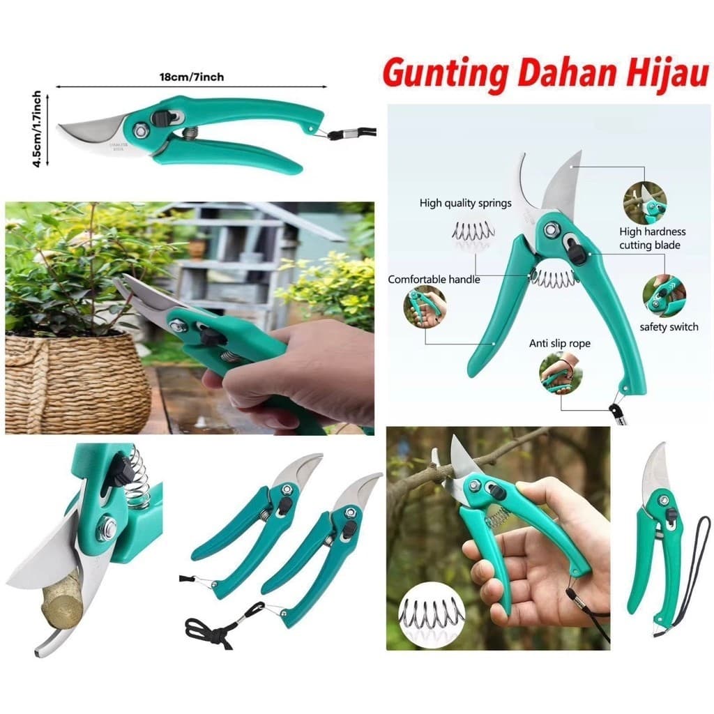 Gunting Dahan Hijau + Tali Gunting Ranting Bunga Tanaman Stainless Alat Potong Berkebun Serbaguna