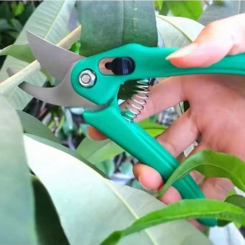 Gunting Dahan Hijau + Tali Gunting Ranting Bunga Tanaman Stainless Alat Potong Berkebun Serbaguna