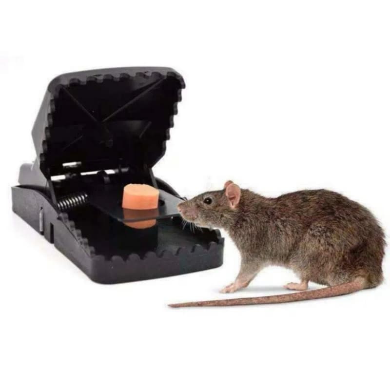 Alat Perangkap Jepit Tikus Alat Jebakan Tikus Plastik Tebal Mouse Trap