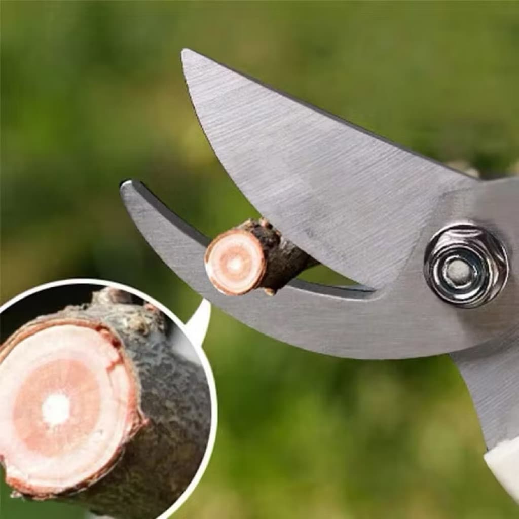 (GROSIRAN) Gunting Dahan Ranting Bunga Tanaman Gunting Alat Berkebun Potong Tanaman Pruning Shears