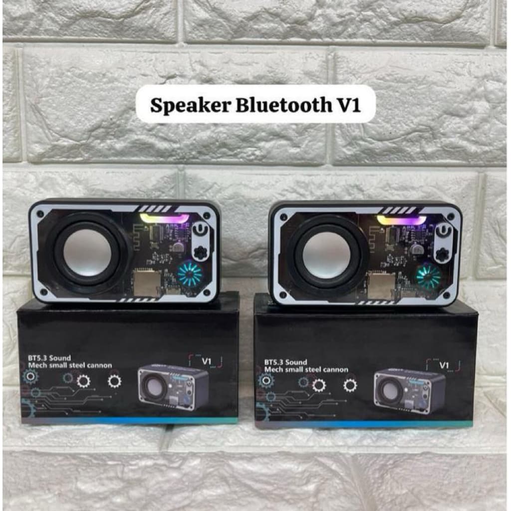 Speaker Bluetooth V1 Body Transparan Wireless 5.3 Portable Speker Blutut Music Box