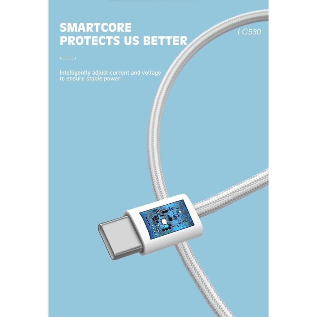 Kabel Data LENYES LC530 60W Fast Charging Type C To Type C Data Cable Charger Nylon Braided 2 Meter