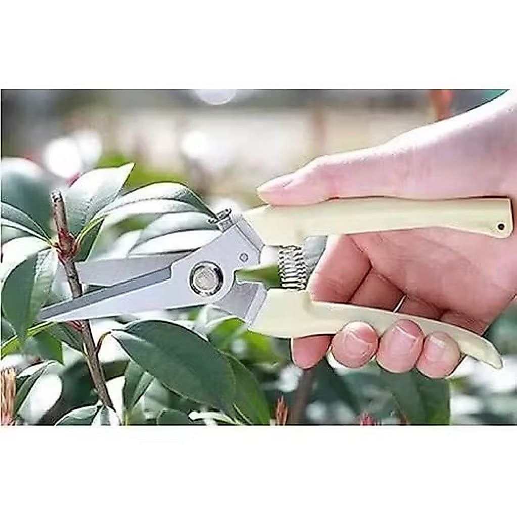 Gunting Dahan Lurus Ranting Bunga Tanaman Gunting Lurus Alat Berkebun Potong Tanaman