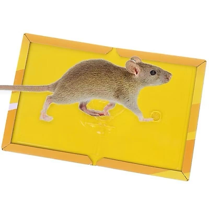 Lem Perangkap Tikus Model Buku Alat Papan Lem Jebakan Tikus Kuat Super Lengket