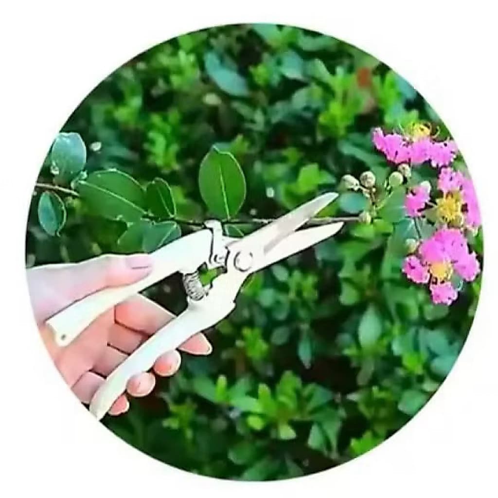 (GROSIRAN) Gunting Dahan Lurus Ranting Bunga Tanaman Gunting Lurus Alat Berkebun Potong Tanaman